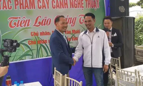 Hà Nội vừa bán cây Tiên lão giáng trần 16 tỷ: Tranh luận nóng!