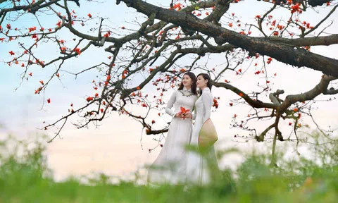 Bộ ảnh tháng 3 hoa gạo