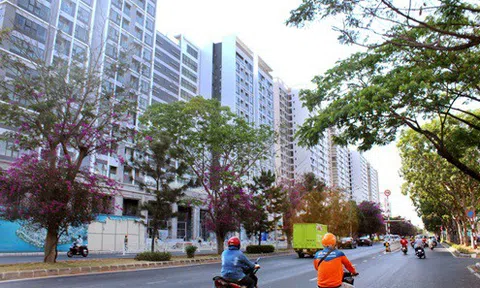 Nam Sài Gòn: Tâm điểm đầu tư và an cư 2020