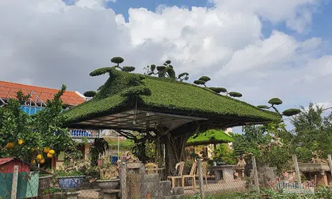 Siêu cây mái đình làng cổ độc nhất Bắc Bộ