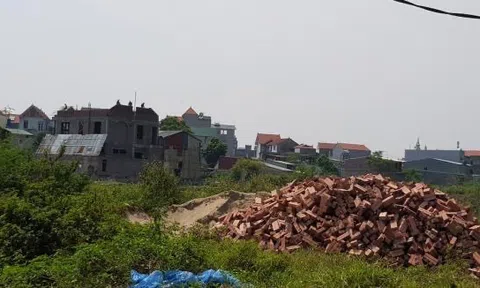 Thanh tra TX Từ Sơn, Bắc Ninh: Đề nghị cách chức Bí thư, Chủ tịch UBND phường Châu Khê do buông lỏng quản lý đất nông nghiệp