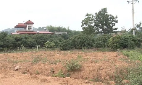 Huyện Lục Nam (Bắc Giang): Cần làm rõ tình trạng buông lỏng quản lý, người dân ô ạt chuyển đổi mục đích sử dụng đất nông nghiệp?