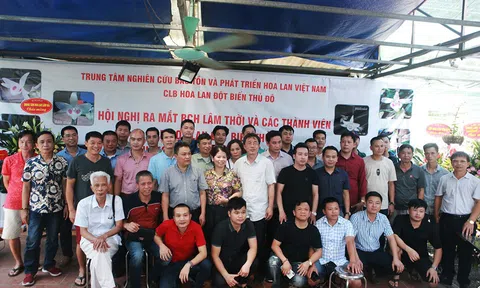 Một số giải pháp khôi phục thị trường hoa lan phát triển sôi động trở lại sau thời gian thực hiện giãn cách xã hội