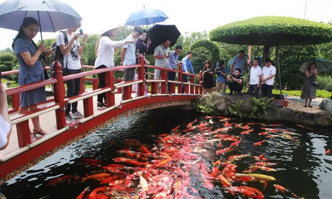 Khu Du lịch sinh thái Dũng Tân, Thái Nguyên điểm đến hấp dẫn không thể bỏ qua