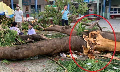 Văn hóa xin lỗi, nhận trách nhiệm cần được hình thành và lan tỏa ngay trong môi trường giáo dục