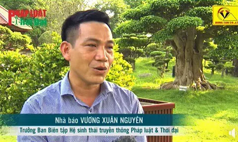 Nhà báo Vương Xuân Nguyên: Quản lý cây xanh không quy trách nhiệm cho ông trời