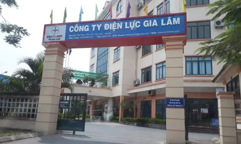 Gương mặt "thân quen" trong lĩnh vực đấu thầu tại Công ty Điện lực Gia Lâm