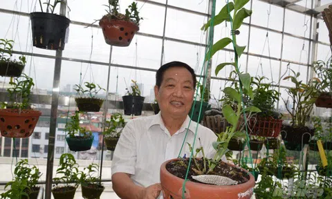 Chủ vườn nhờ tôi đặt anh Đông 4 năm nhân 1.000 cây, trả ngay 10 tỉ