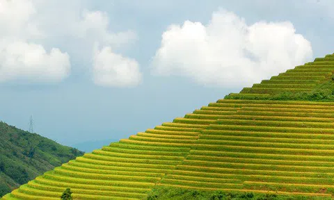 Sắc thu vàng quyến rũ trên vùng cao Tây Bắc