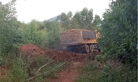 Chia sẻ câu chuyện “đất tặc” lộng hành tiềm ẩn nguy cơ mất ATGT ở Bình Xuyên - Vĩnh Phúc?