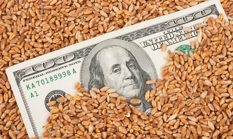 Kênh đầu tư hấp dẫn năm 2020 – Phái sinh hàng hóa