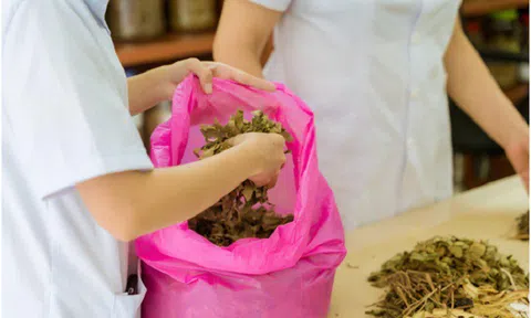Phòng khám YHCT Phúc Hậu: Tiên phong phát huy giá trị nguồn thảo dược quý trong nước