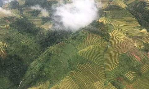 Mù Cang Chải sắp có tour ngắm cảnh từ trực thăng