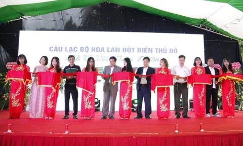 RA MẮT CLB LAN VAR THỦ ĐÔ