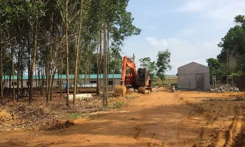 Ba Vì – Hà Nội: Buông lỏng quản lý TTXD, lãnh đạo xã Thụy An có bị xử lý?