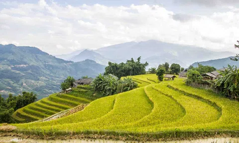Mùa vàng ở Hà Giang vẫn đẹp trong thời điểm cuối tháng 10