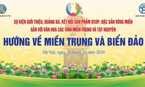 Hướng về miền Trung và Biển đảo quê hương bằng những việc làm thiết thực