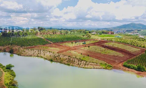 Pháp lý của dự án The Tea Gardens hiện như thế nào?