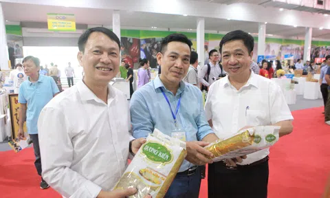 Hà Nội: Công nhận 301 sản phẩm OCOP năm 2019