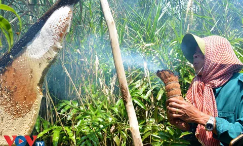 Điểm danh những đặc sản nổi tiếng gần xa của vùng Đất Mũi Cà Mau