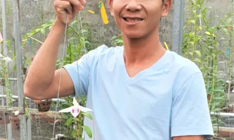 Nghệ nhân Trần Quang Duy chia sẻ một số kiến thức về hoa lan Phi điệp