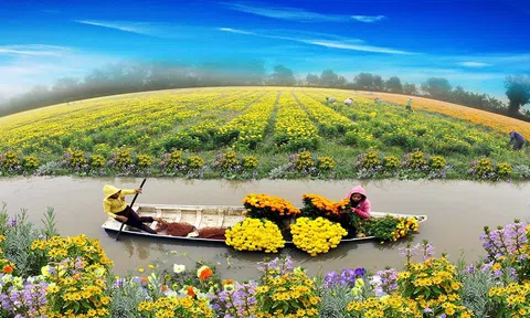 Hà Nội sắp diễn ra Sự kiện Giới thiệu, quảng bá và kết nối sản phẩm OCOP, đặc sản vùng miền gắn với văn hoá các tỉnh Nam Bộ