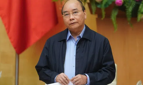 Thủ tướng cấm chặt đào rừng chơi Tết