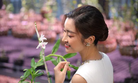 Bài ca Lan Var Việt Nam