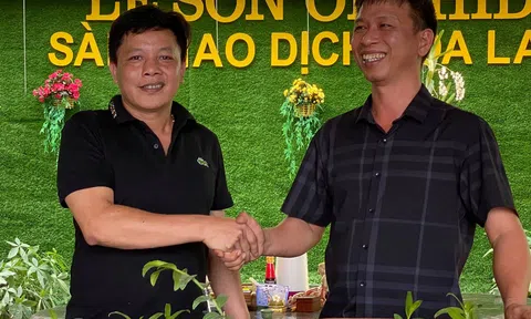 Nguyễn Phương Hồng, Vườn Lan Lê Sơn (Hòa Bình): Tôi có một năm tuyệt vời đồng hành cùng công tác xã hội