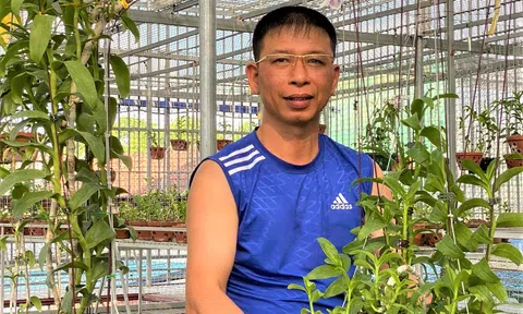 Nghệ nhân Nguyễn Phương Hồng: Kỹ thuật trồng và chăm sóc lan Phi điệp quyết định phẩm cấp của bông hoa