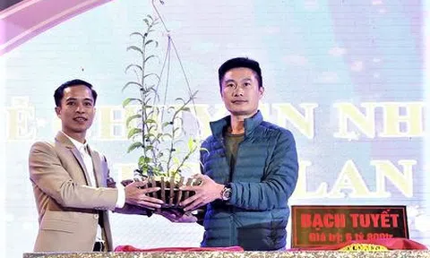 Hà Nội: Độc đáo vườn lan Lính Bay của chàng trai Lê Mạnh Chung
