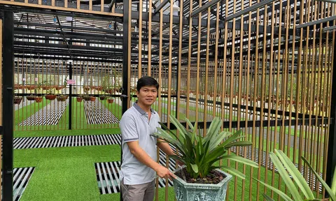 Nguyễn Tấn Lên: Chàng trai nuôi khát vọng về nền nông nghiệp đô thị ứng phó biến đổi khí hậu