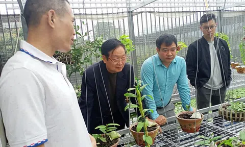 GS. TSKH Trần Duy Quý: Thị trường lan VAR ngày càng phát triển sôi động