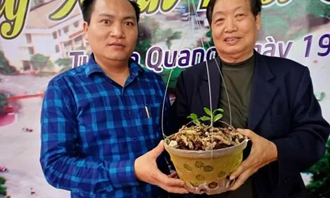 Dương Văn Lập: Chàng trai 8X bất ngờ chuyển hướng đầu tư vào hoa lan bởi những lợi ích thiết thực