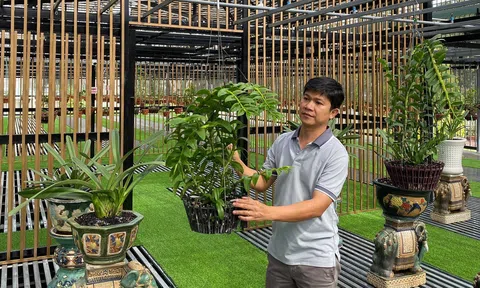 Nguyễn Tấn Lên: Chàng trai 8X chia sẻ những thành công từ hoa lan