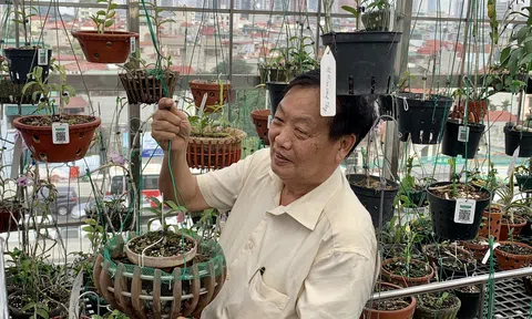 GS. Trần Duy Quý nói gì về lần tham gia đấu giá hoa lan VAR quý để gây quỹ phòng chống COVID19?
