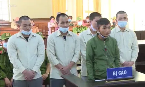 Lâm Đồng: Tuyên phạt hơn 44 năm tù cho 05 đối tượng chuyên trộm hoa lan