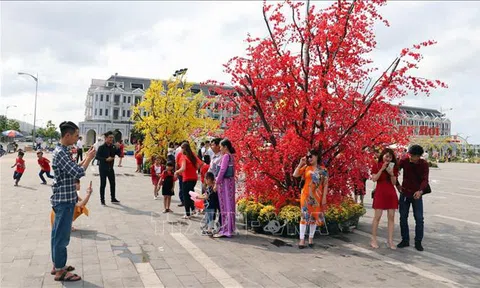 Nhiều tour du lịch dịp Tết Nguyên đán hút khách