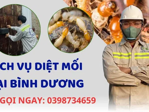 Diệt Mối Minh Long - Địa chỉ diệt mối uy tín tại Bình Dương