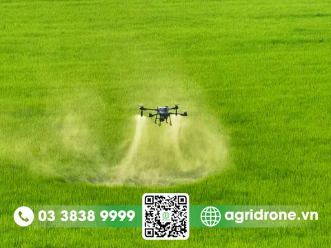 AgriDrone đánh giá máy bay phun thuốc DJI T25 có hiệu quả không?