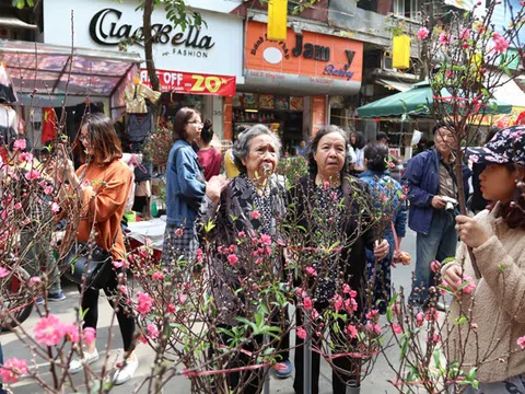 Từ hôm nay 9/1, Hà Nội cấm đường một loạt tuyến phố cổ để tổ chức Chợ hoa Xuân 2020