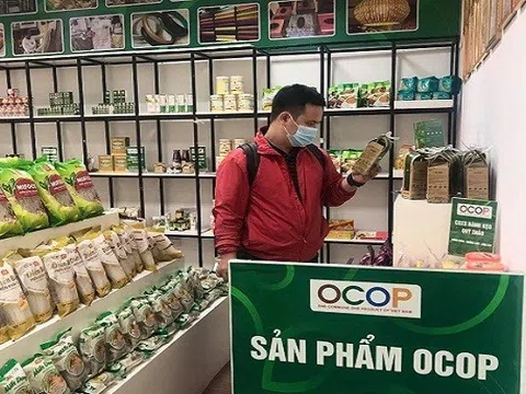 Danh sách doanh nghiệp sản xuất kinh doanh sản phẩm OCOP Hà Nội