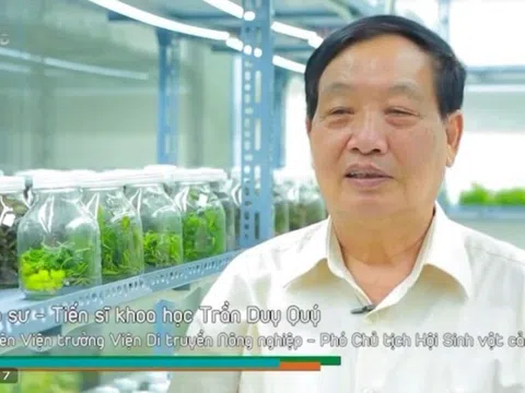 GS. TSKH Trần Duy Quý nói về giá trị dược liệu của một số lan rừng Việt Nam