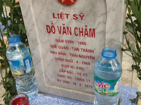 Cậu tôi