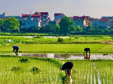 Ma mặt thớt (Ma ở làng Láng)