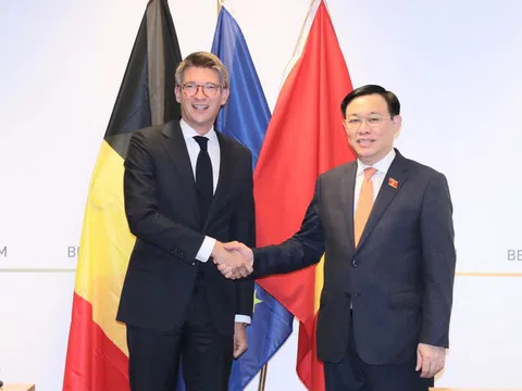 Việt Nam coi trọng phát triển quan hệ hợp tác với Bỉ