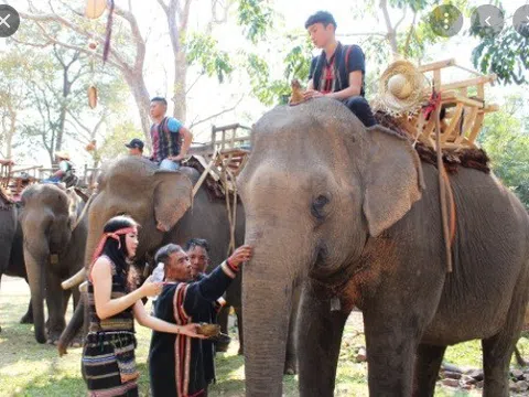 Trăn trở Tây Nguyên