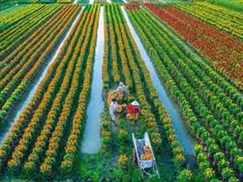 Phát triển nông nghiệp, nông thôn, đáp ứng yêu cầu CNH, HÐH trong bối cảnh hội nhập kinh tế quốc tế