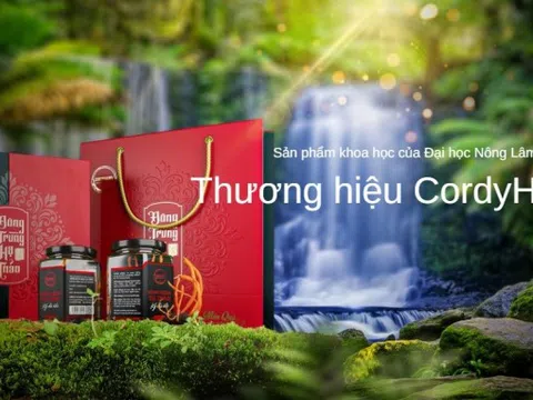 Đông trùng Hạ thảo CordyHappy gây ấn tượng với người tiêu dùng tại Chợ đêm trên mây