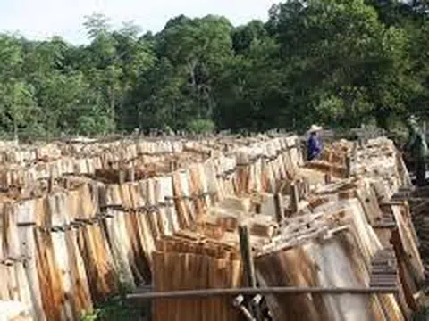 Việt Nam có bao nhiêu làng nghề chế biến gỗ?